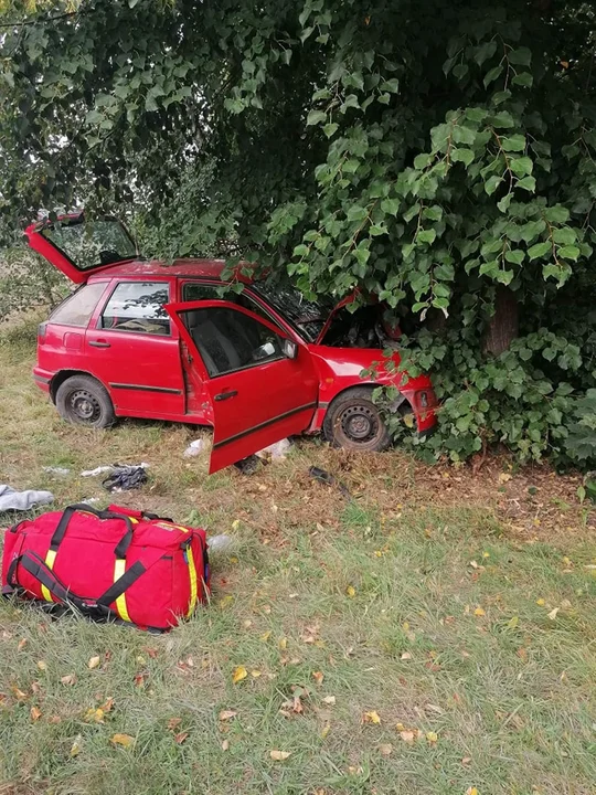 Samochód uderzył w drzewo w Michowie. Dwie osoby poszkodowane - Zdjęcie główne