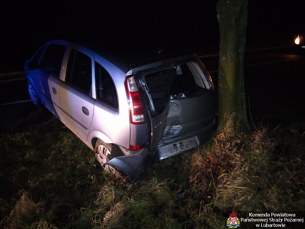 Opel uderzył w drzewo w Kolechowicach - Zdjęcie główne