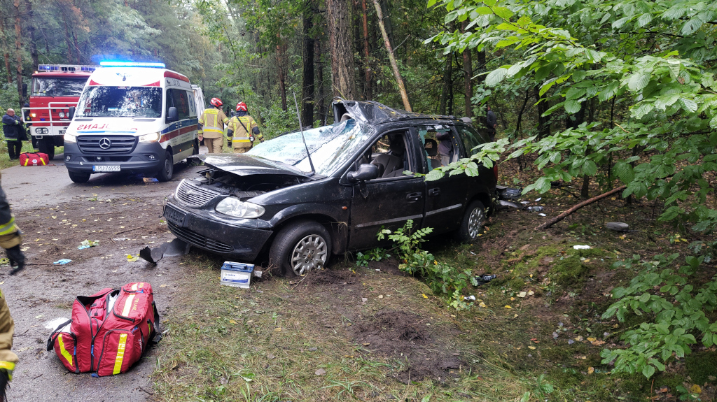 Gmina Michów: Chrysler uderzył w drzewo. Pasażerowie ranni, kierowca zbiegł  - Zdjęcie główne