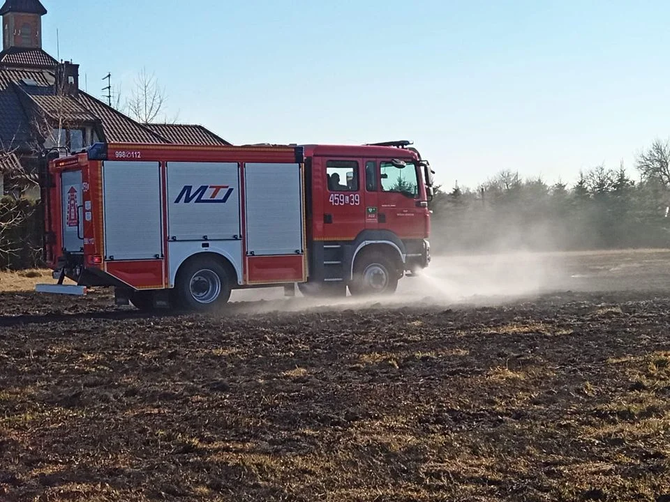 Pożar trawy w Łucce Kolonii. Gasili strażacy z Lubartowa i Wólki Rokickiej - Zdjęcie główne