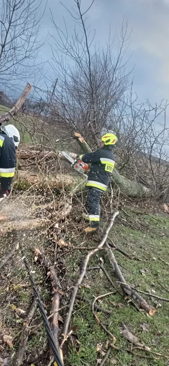 Powalone drzewa, uszkodzone dachy. Skutki wiatru w powiecie lubartowskim - Zdjęcie główne