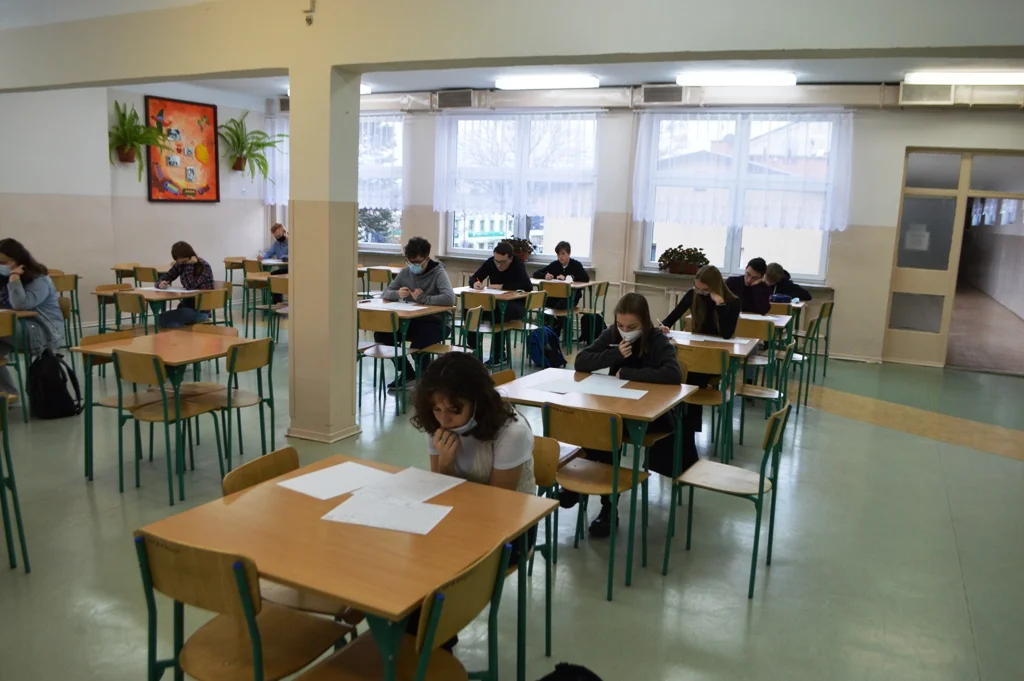 Sukces uczniów II LO w Lubartowie w konkursie matematycznym Alfik (zdjęcia) - Zdjęcie główne