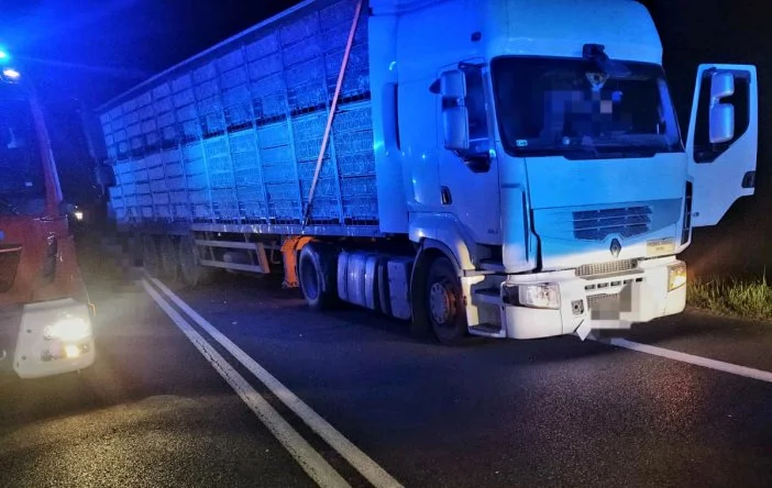 Potrącenie pieszego na obwodnicy Lubartowa. 20 - latek nie przeżył. Policja podaje szczegóły zdarzenia - Zdjęcie główne