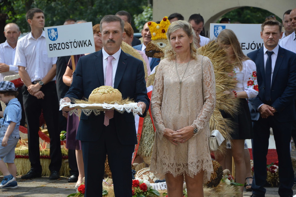 Dożynki w Sernikach z orkiestrą z Ostrowa - Zdjęcie główne