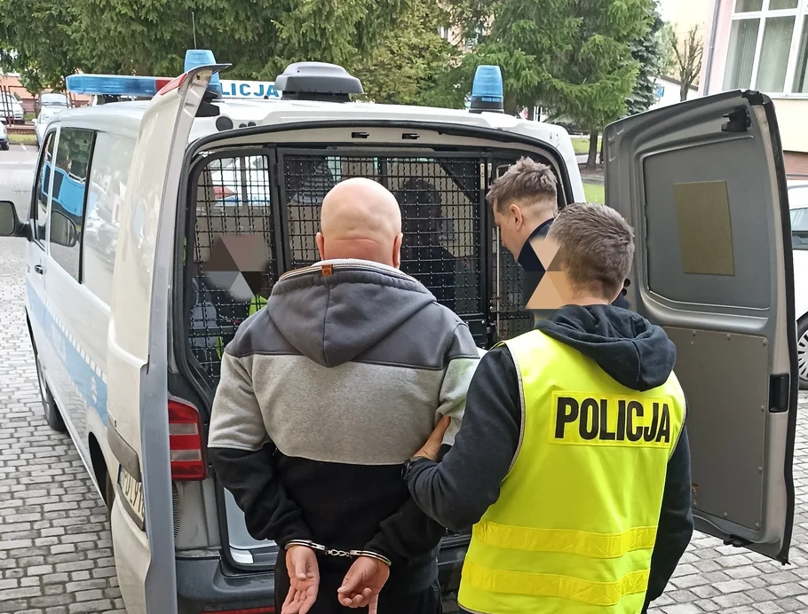 Powiat lubartowski: Aresztowany za znęcanie się nad matką. Policji groził piłą mechaniczną - Zdjęcie główne