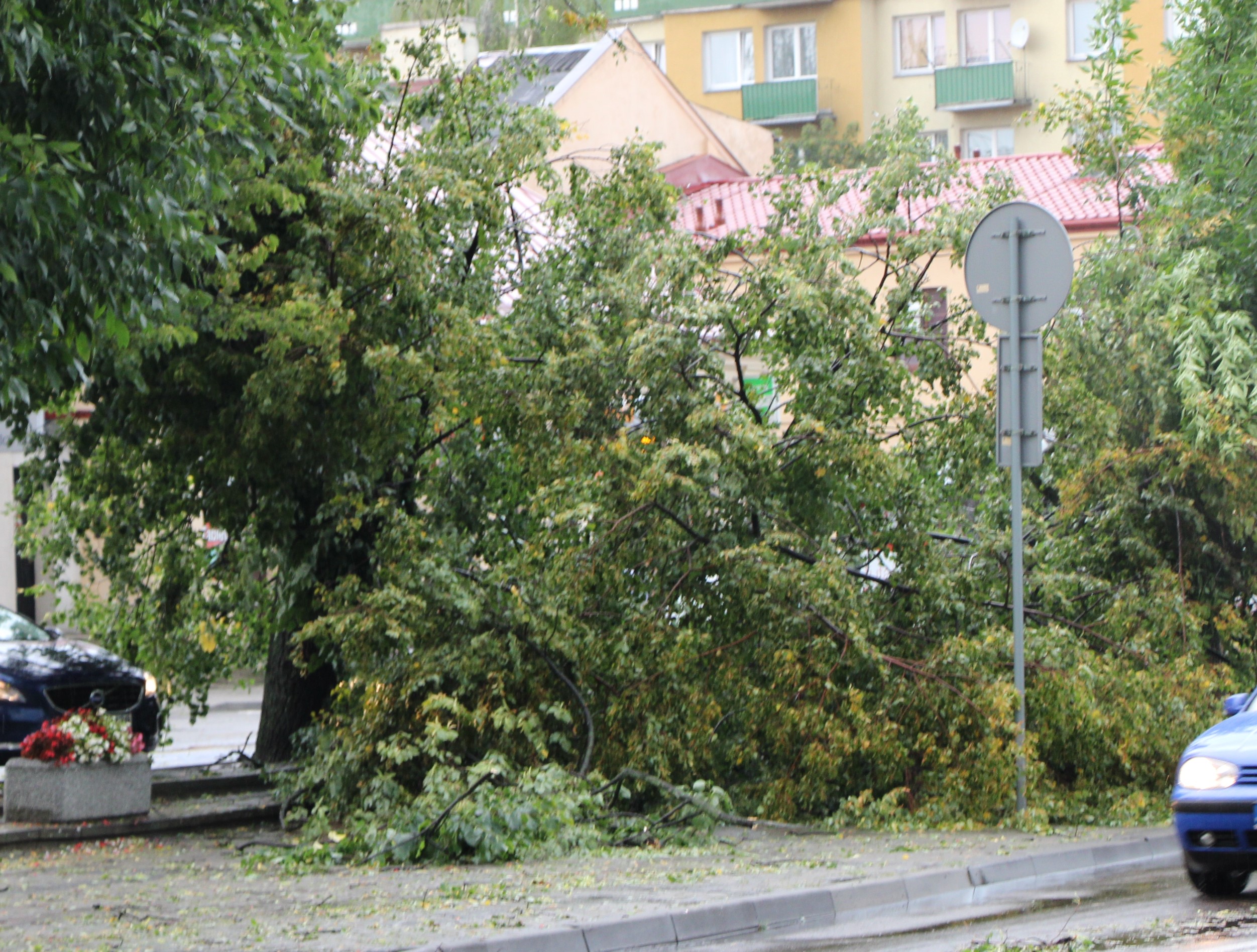 Burza zalała ulice i niszczyła drzewa