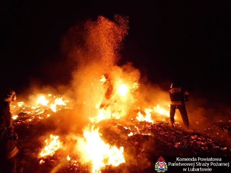 Strażacy z Ostrowa Lub. podpalali i gasili - Zdjęcie główne
