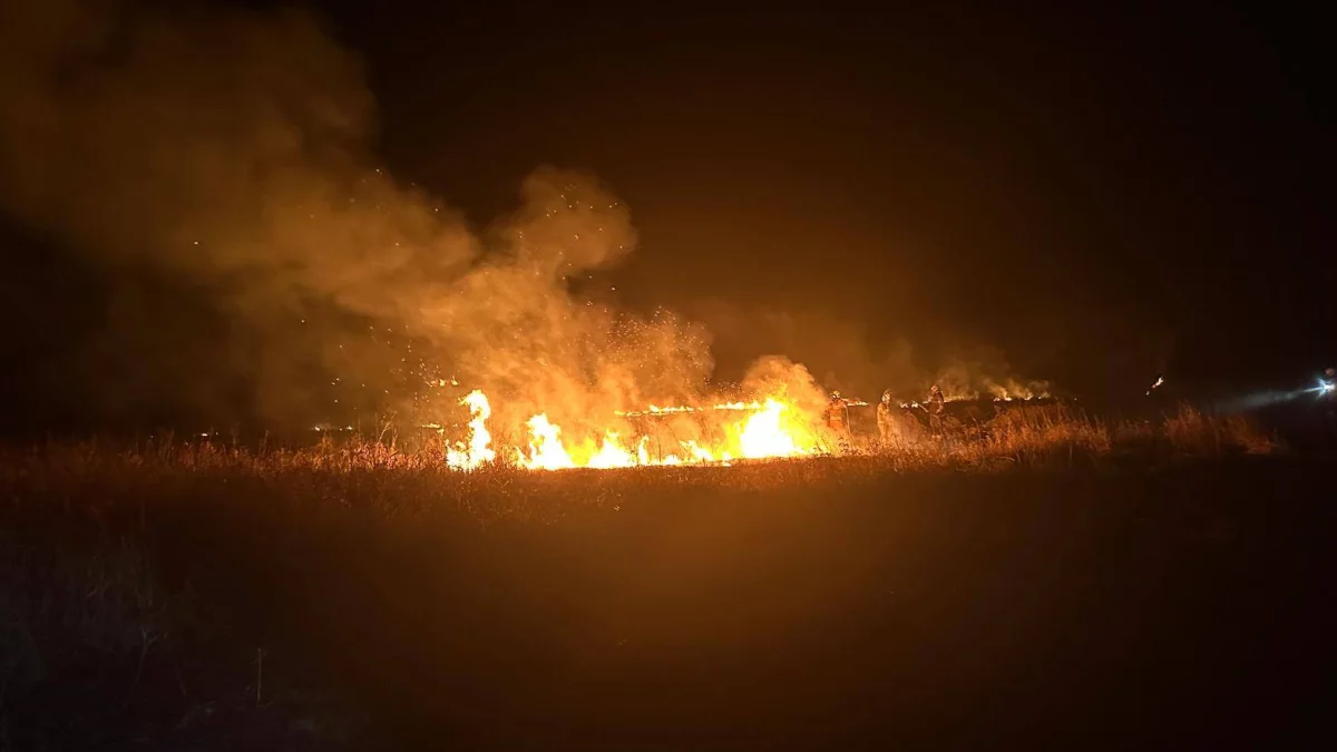 Znowu płoną trawy. Tym razem w gminie Michów - Zdjęcie główne