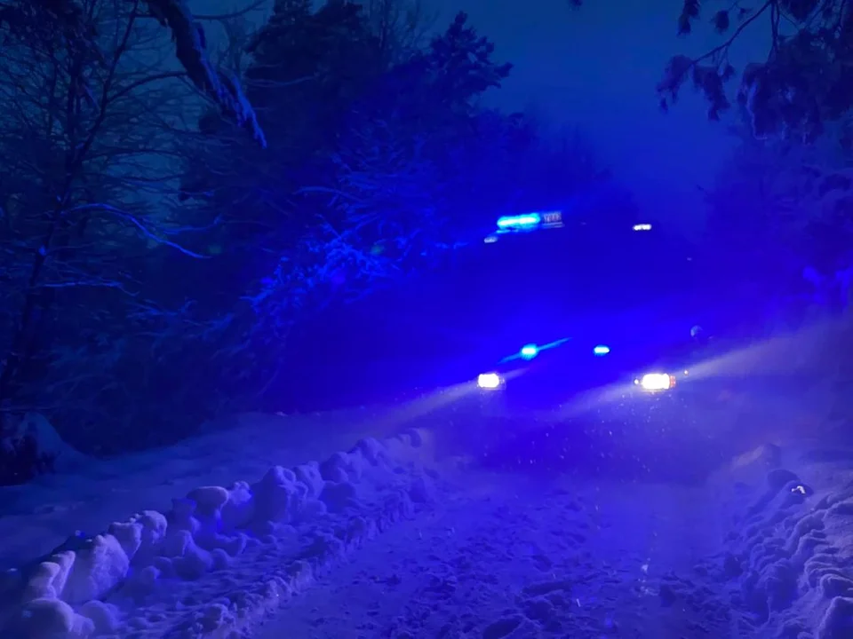 Drzewa łamią się pod śniegem. Prawie pół setki interwencji straży pożarnej w powiecie lubartowskim - Zdjęcie główne