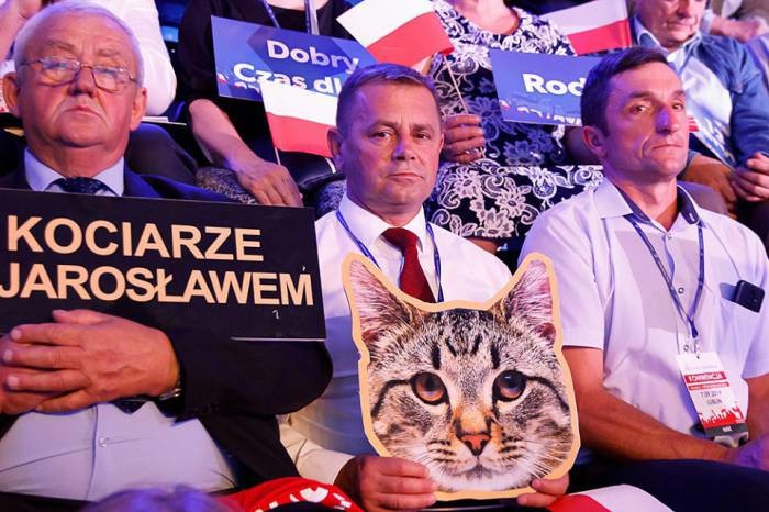 Morawiecki chwali radnych z Niedźwiady z portretem "kota prezesa" - Zdjęcie główne