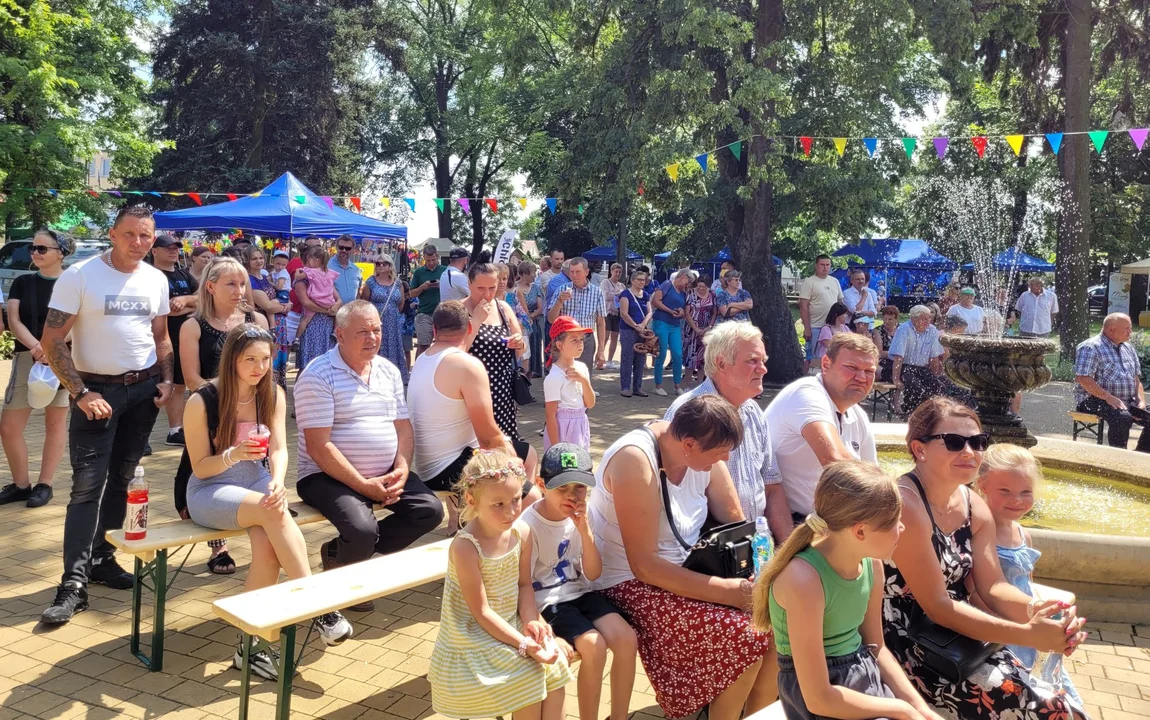 Muzyka, śpiew, regionalne potrawy i rękodzieło. Jarmark u "Szweda" w Kamionce. (galeria, film) - Zdjęcie główne