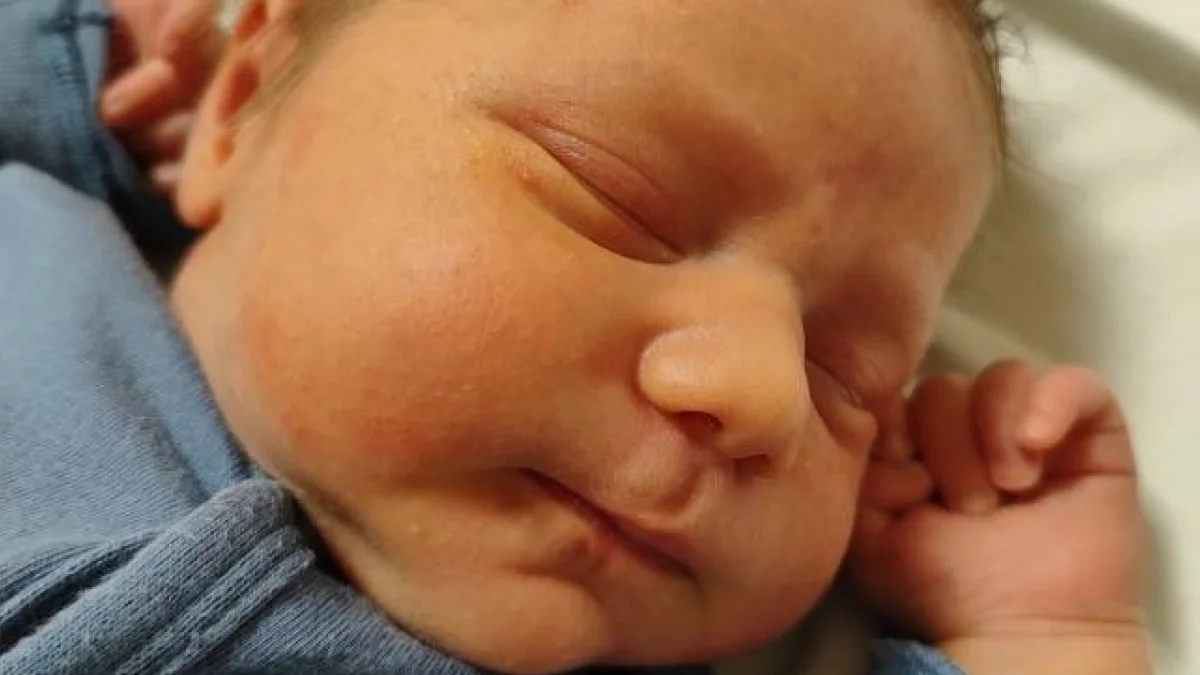 Cześć Milan! Cieszymy się, że z nami jesteś! - Zdjęcie główne