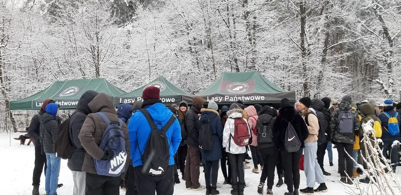 Uczniowie ZS 2 w Lubartowie sadzili las. Akcja "Posadź swoje drzewo" (zdjęcia) - Zdjęcie główne