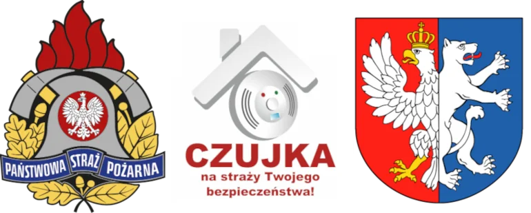 Wyniki konkursu KP PSP w Lubartowie. Kto nagrodzony w konkursie o bezpieczeństwie? - Zdjęcie główne