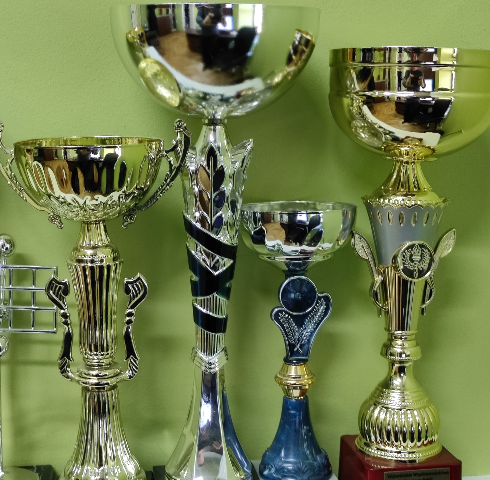 Nagrody dla sportowców z powiatu lubartowskiego - Zdjęcie główne