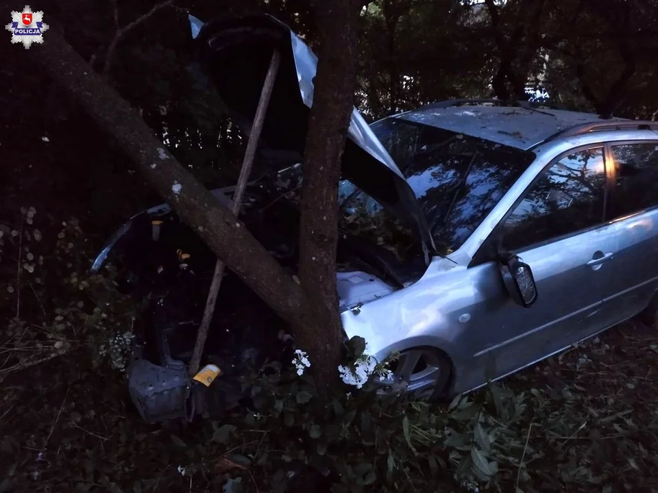 Powiat lubartowski: Pijany kierowca uszkodził znak i wjechał w ogrodzenie - Zdjęcie główne