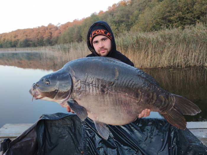 To dopiero karp gigant! Waży 24,2 kg. W jeziorze Rogóźno złowił go wędkarz z Lubartowa - Zdjęcie główne