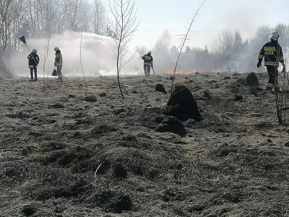 Znowu płoną trawy w powiecie lubartowskim. Pożary w Nowej Woli i Tarle (zdjęcia) - Zdjęcie główne