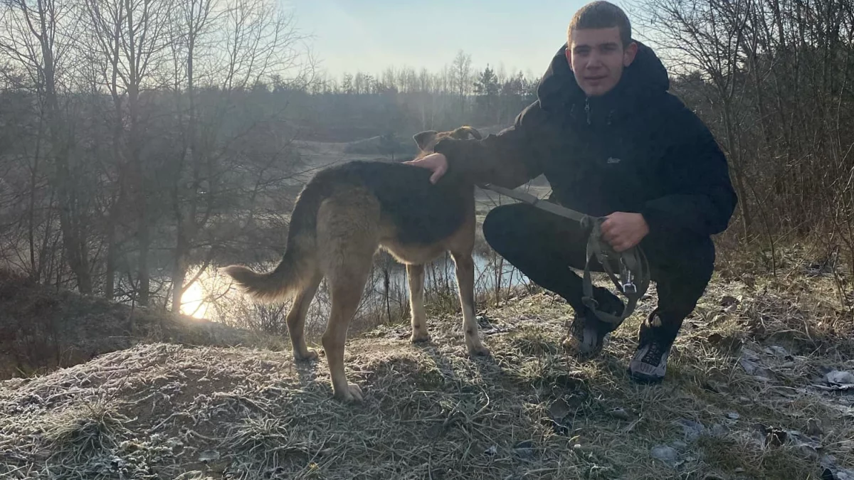 Spacer wolontariuszy MKS "Lubartów" z psiakami ze schroniska w Nowodworze Akcja pełna radości - Zdjęcie główne