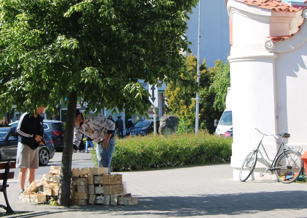 Po ile truskawki w Lubartowie? - Zdjęcie główne