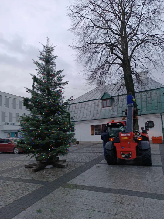 Powiało nad powiatem. Padła choinka w Lubartowie i drzewo w Sernikach Kolonii - Zdjęcie główne