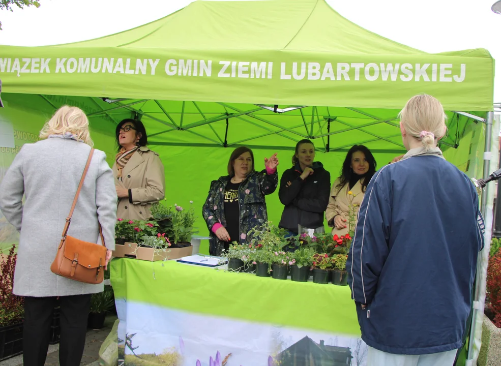 Sadzonki za odpady w Lubartowie (zdjęcia) - Zdjęcie główne