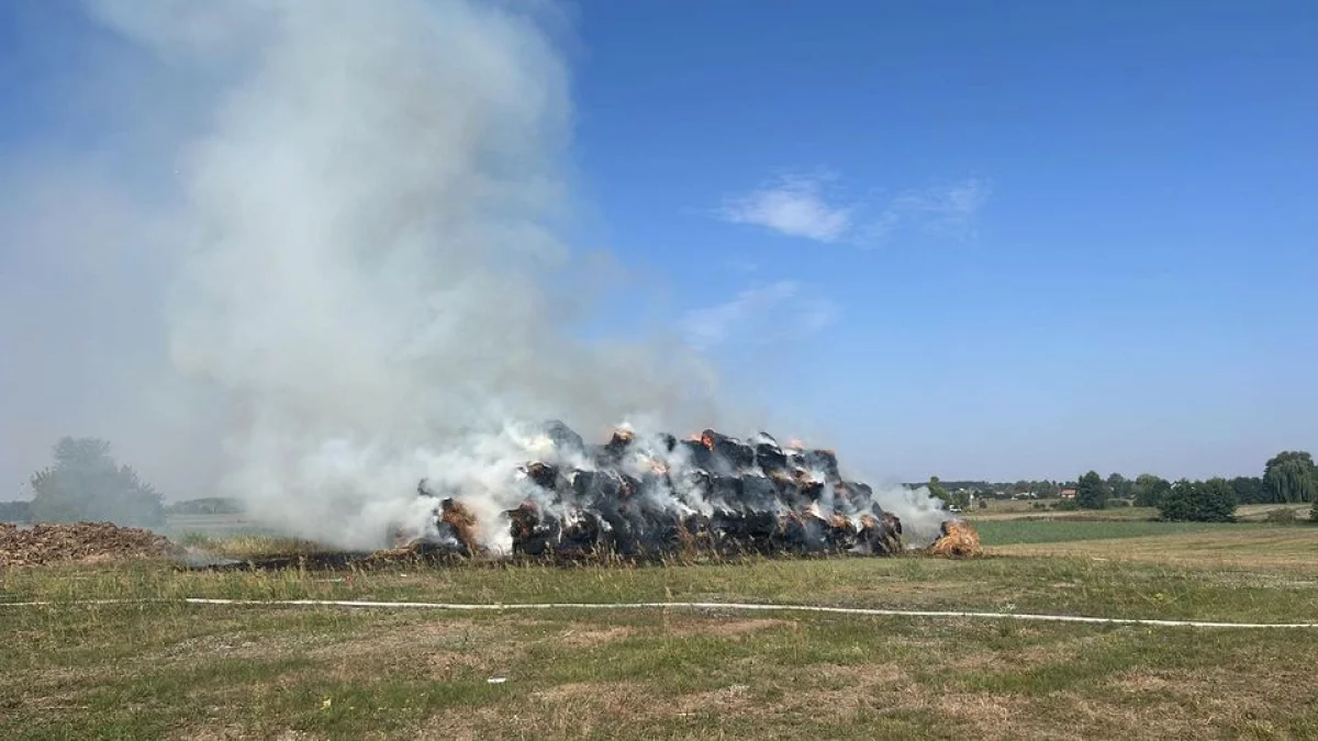 Pożar w Ostrówku Kolonii - Zdjęcie główne