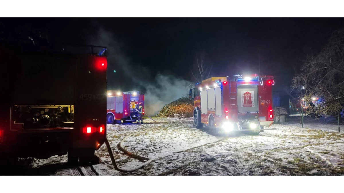 Pożar w Tarle Kolonii - Zdjęcie główne