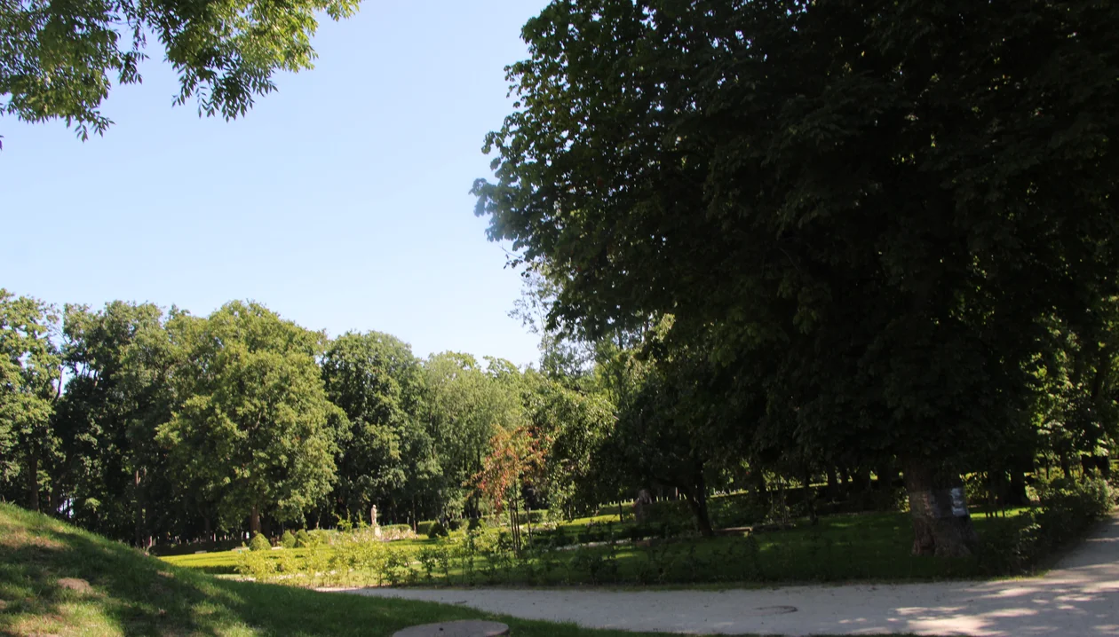 Czy park w Lubartowie daje ochłodę? Park im. Sanguszków dziś przed południem (zdjęcia) - Zdjęcie główne