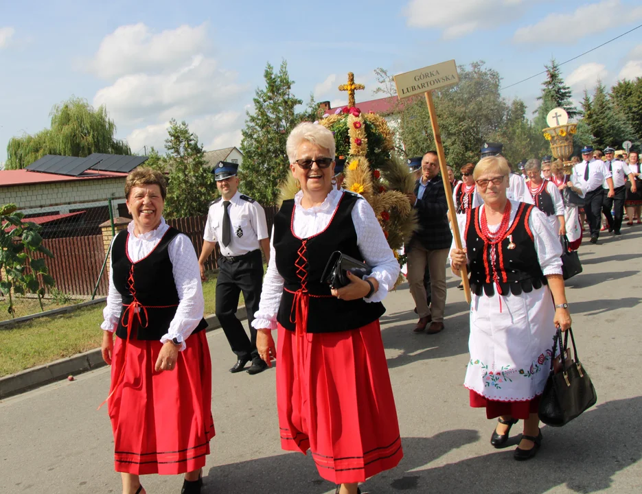 Ułani, husarz i minister Czarnek. Korowód dożynkowy w Niedźwiadzie (zdjęcia) - Zdjęcie główne