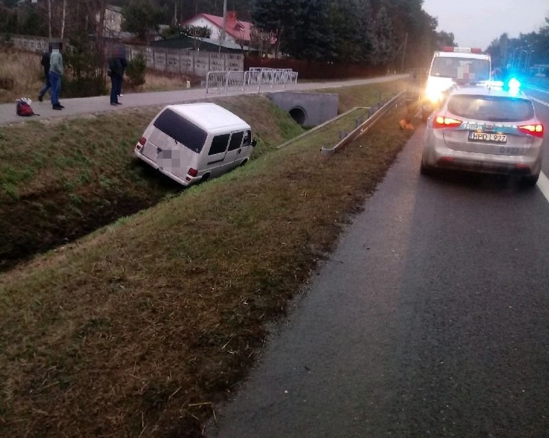 Kolizja przez dzikie zwierzę - Zdjęcie główne
