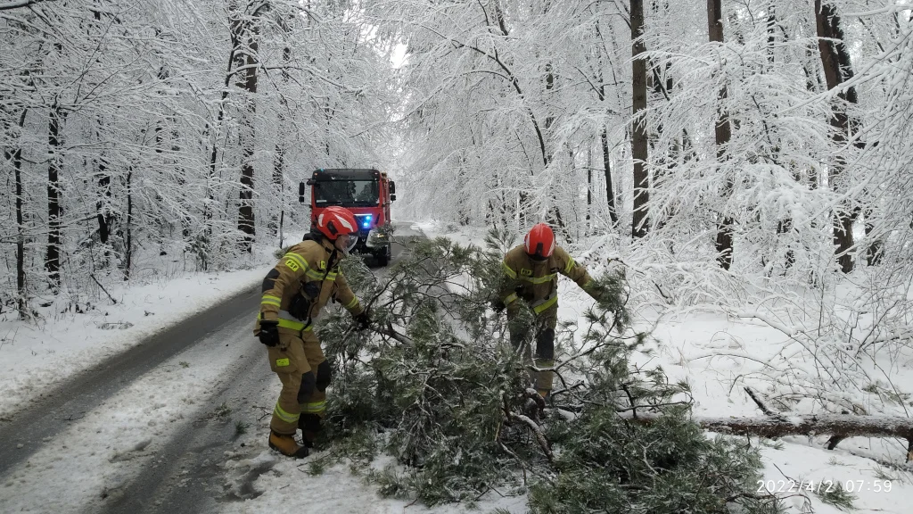 Kolizja w Annówce. Drzewa powalone przez śnieg niebezpieczne dla kierowców - Zdjęcie główne