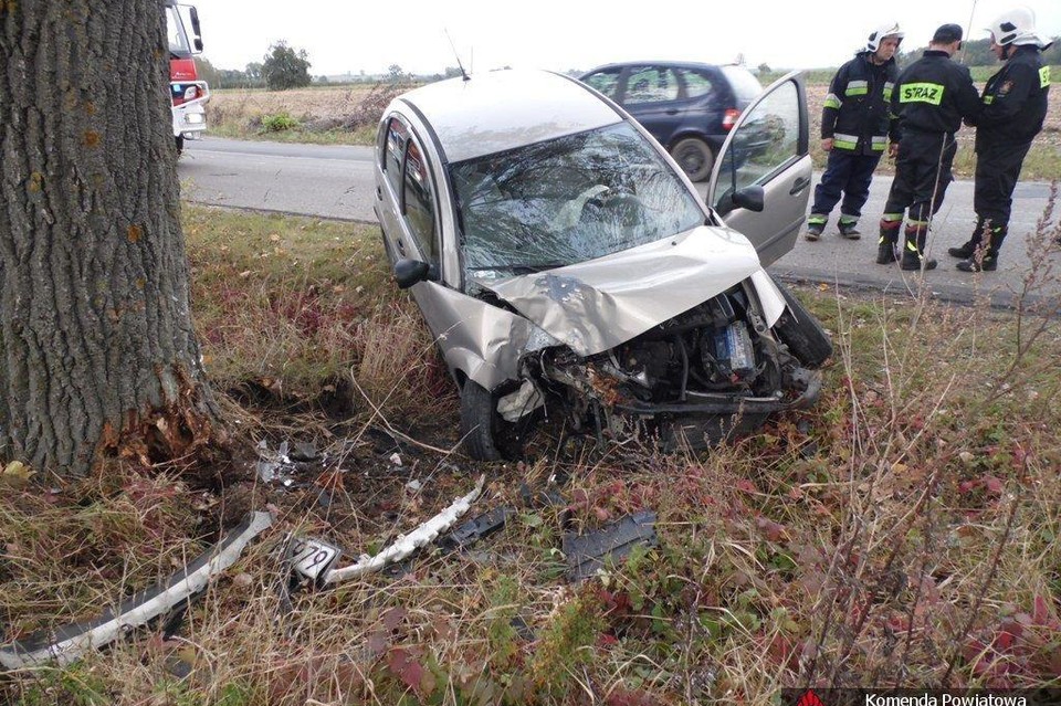 Citroen uderzył w drzewo - Zdjęcie główne