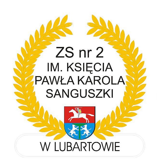 Wolontariat w ZS 2 w Lubartowie - Zdjęcie główne