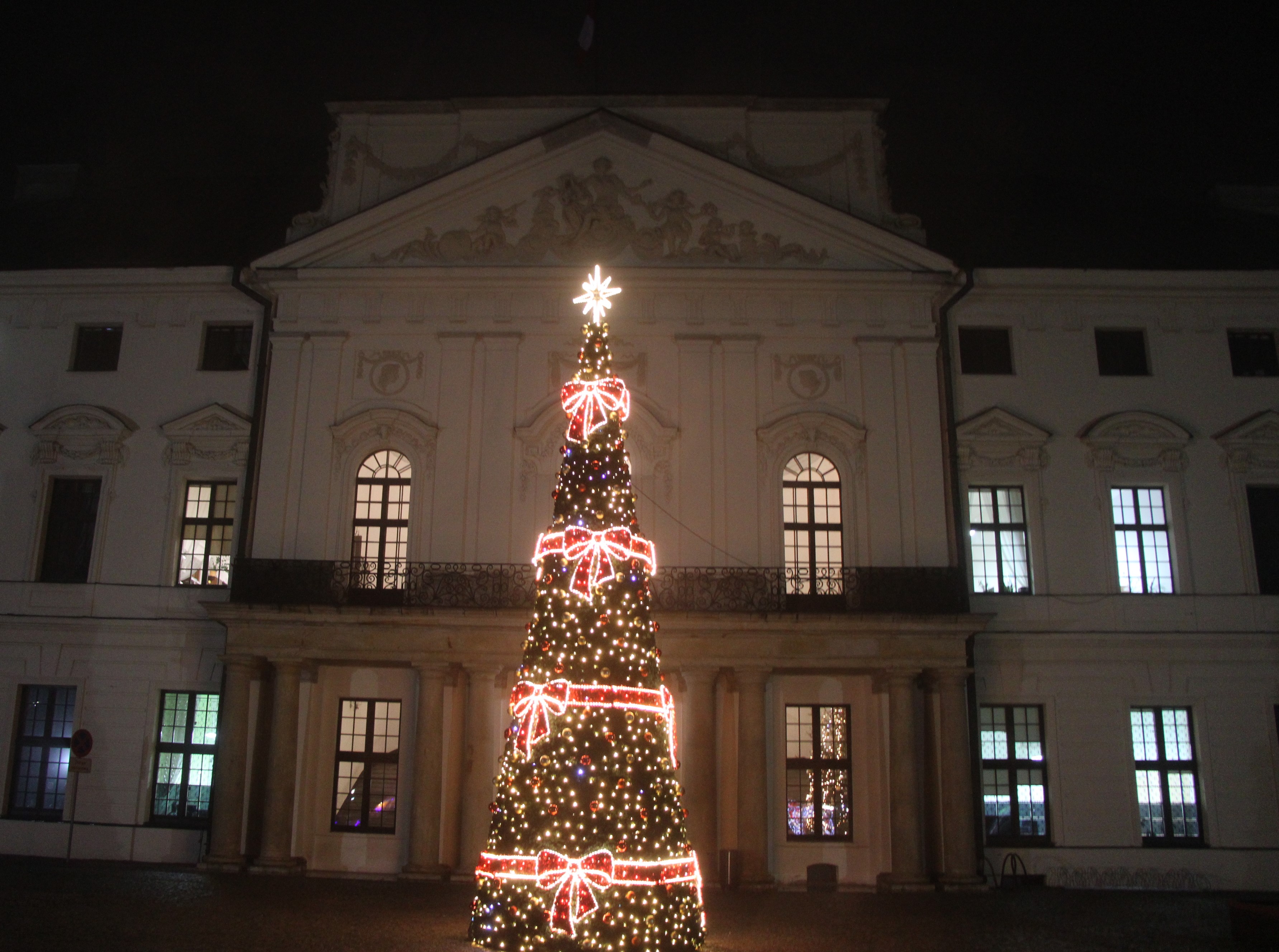 Choinka przed siedzibą starostwa