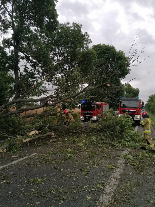 Konar spadł na samochód w Siedliskach. Jedna osoba poszkodowana - Zdjęcie główne