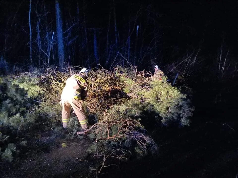 Skutki wiatru w powiecie lubartowskim. 22 interwencje straży pożarnej - Zdjęcie główne