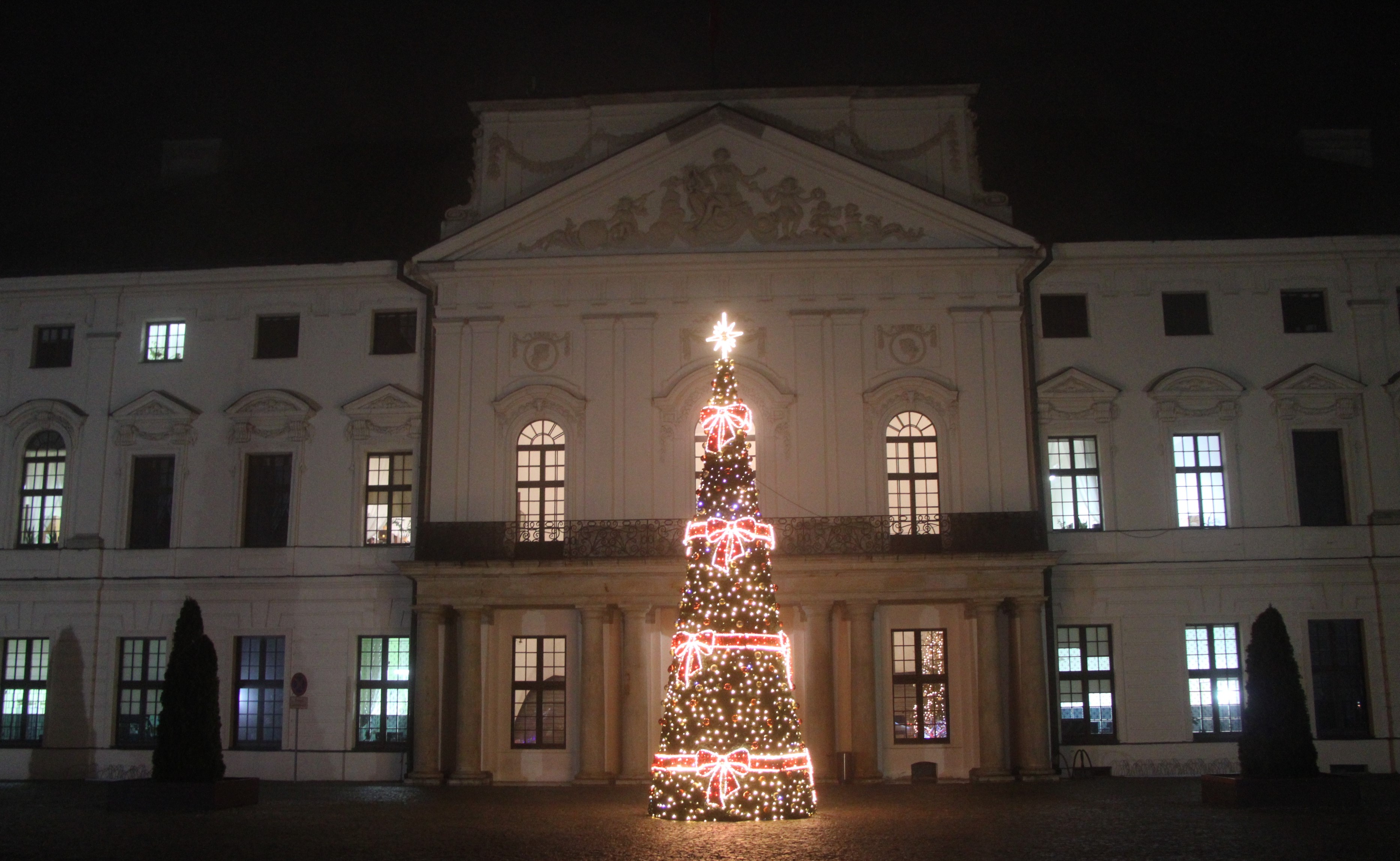 Choinka przed siedzibą starostwa