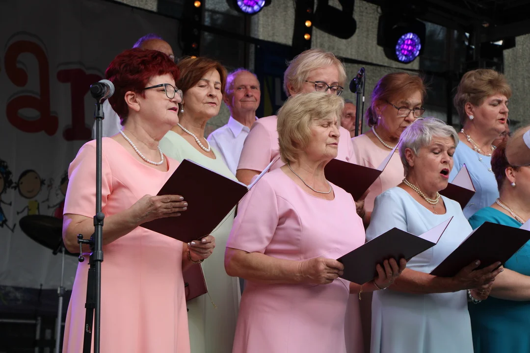 Muzyczne wspomnienia z Annowania w Lubartowie. Posłuchaj jeszcze raz, jak śpiewali artyści na imprezie - Zdjęcie główne