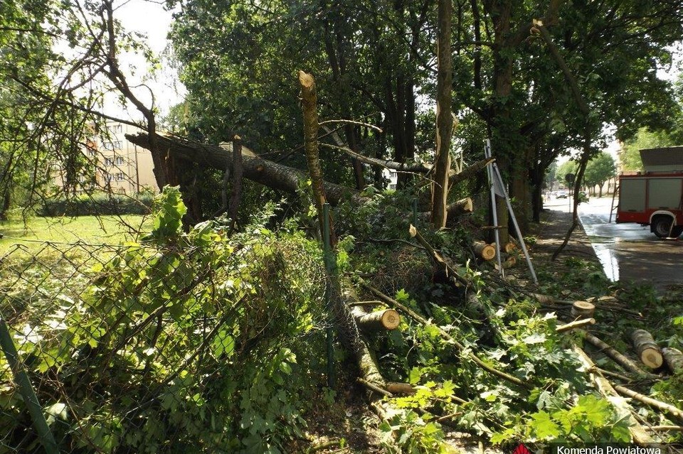 Bilans zdarzeń po burzy - Zdjęcie główne