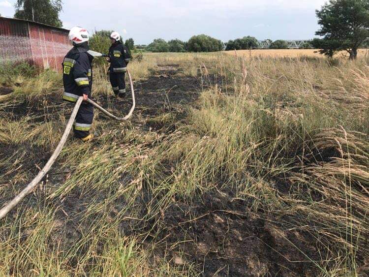 Trawa i zboże płonęły w Szczekarkowie - Zdjęcie główne