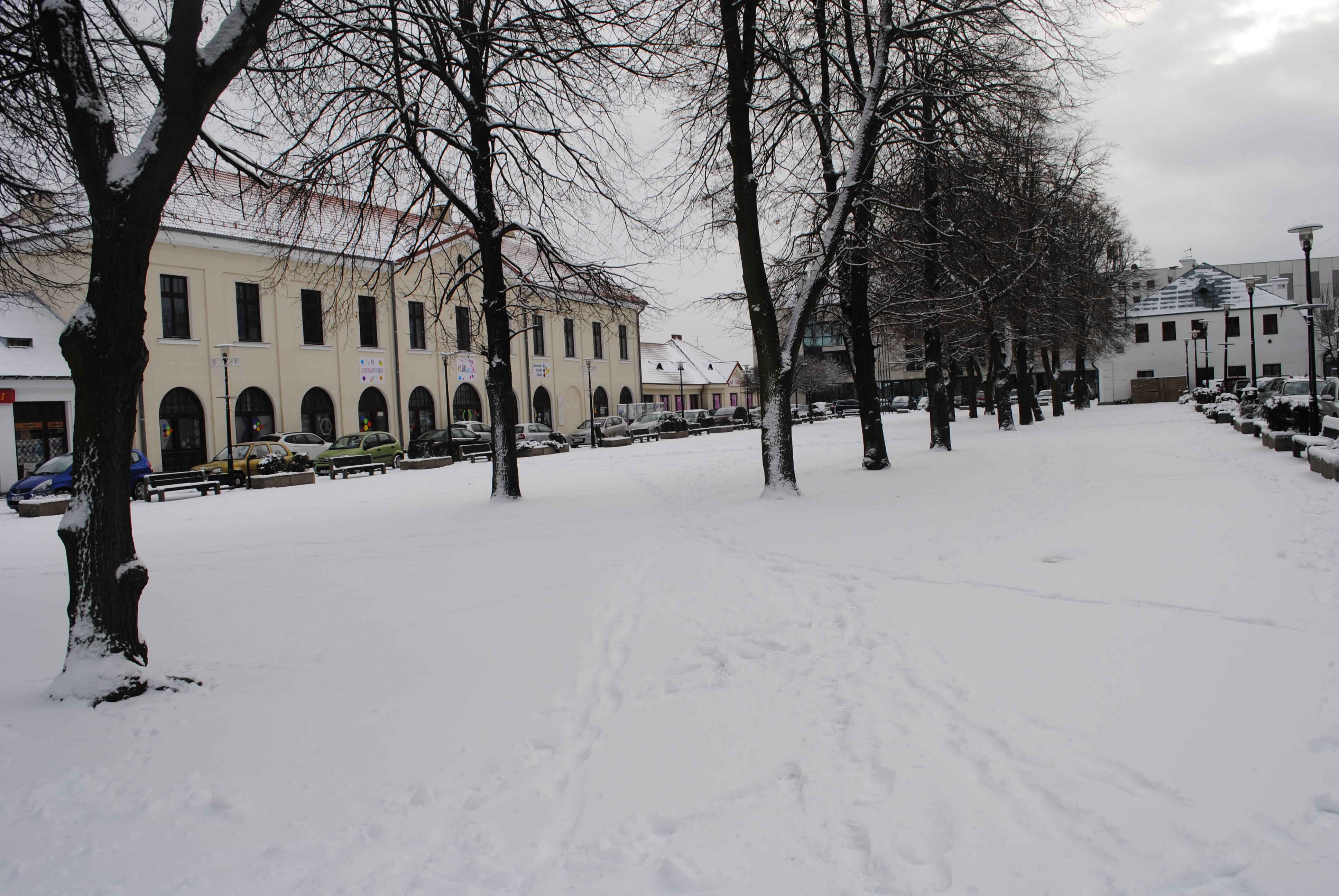 Plac przed ratuszem - Rynek II