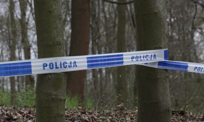 To nie psy zabiły 67 - letniego mężczyznę z Krępy. Dlaczego zmarł? - Zdjęcie główne