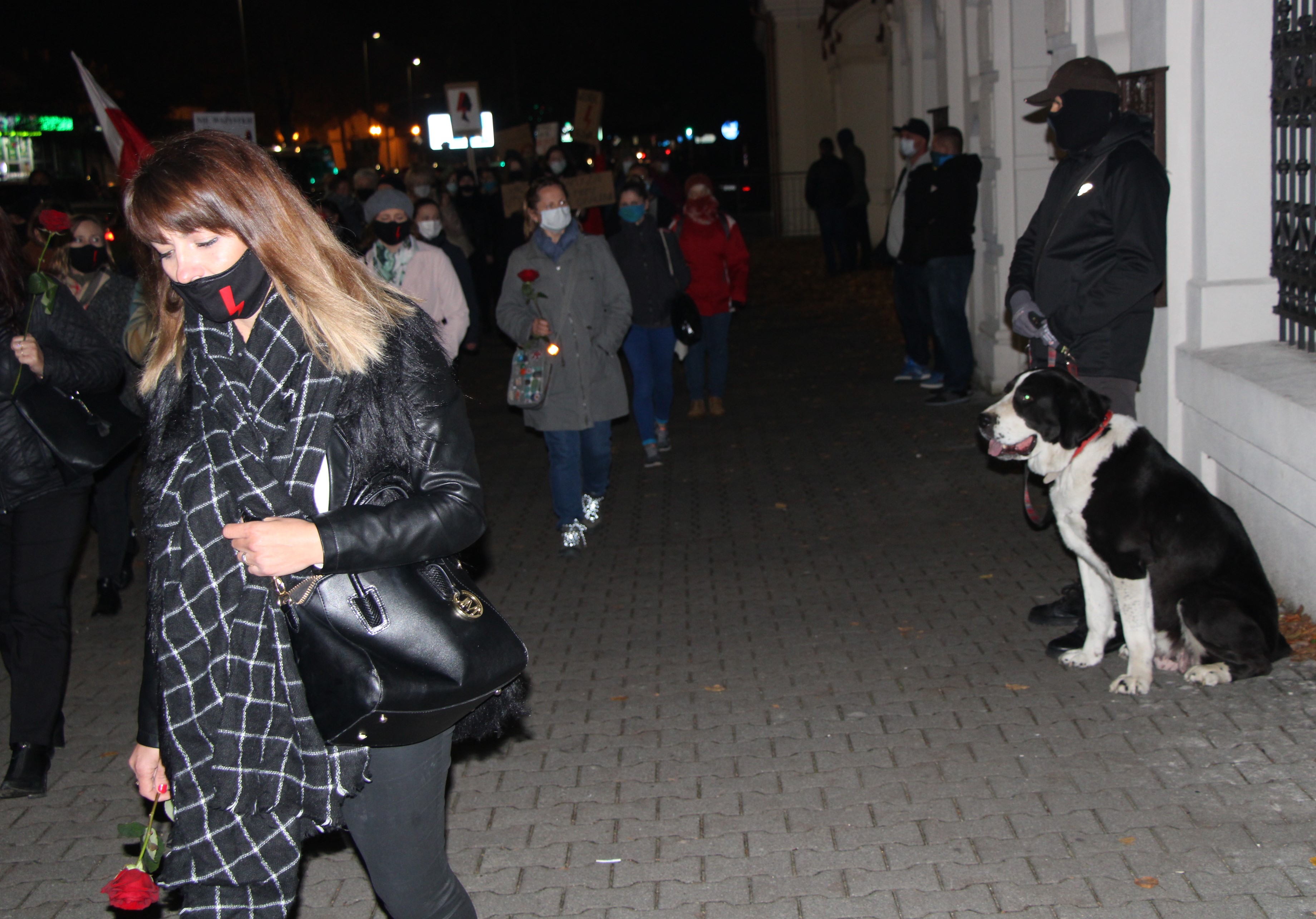 Strażnicy z psem pilnowali kościoła św. Anny. Protest w Lubartowie przeszedł spokojnie - Zdjęcie główne