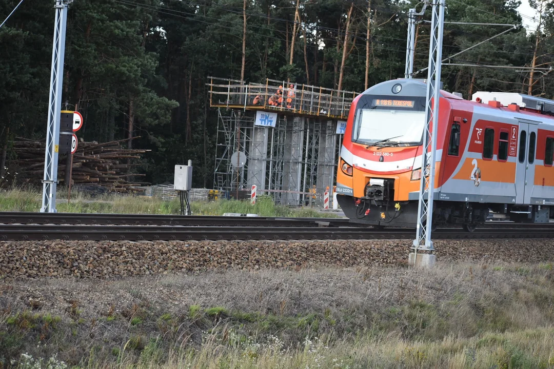 Wypadek kolejowy w Międzyrzecu Podlaskim. Wykolejone dwa wagony - Zdjęcie główne