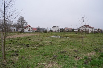 Nowy teren rekreacyjny przy promenadzie - Zdjęcie główne