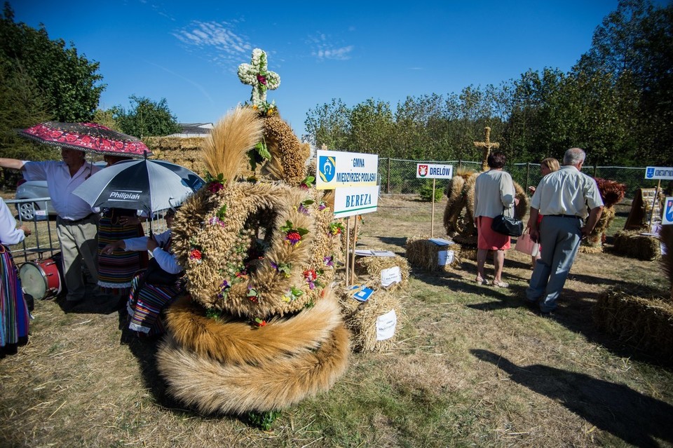 XVII Dożynki Powiatu Bialskiego - Zdjęcie główne
