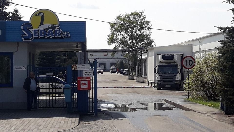 W Sedarze ponowie doszło do wycieku amoniaku? [ZDJĘCIA, WIDEO]  - Zdjęcie główne