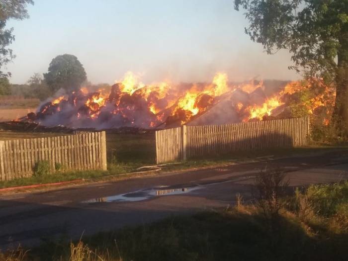 Nie wierzymy, że to nasi podpalali - Zdjęcie główne