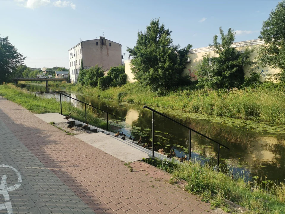 Ciało mężczyzny pływało w Krznie. To mieszkaniec Międzyrzeca Podlaskiego - Zdjęcie główne